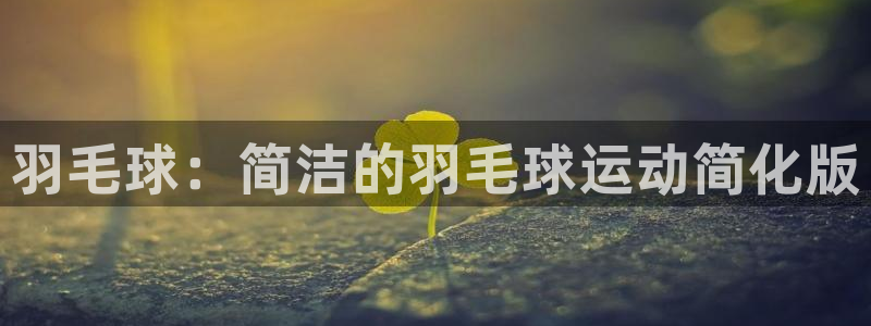 MK体育官方正版app娱乐首页官网下载:羽毛球:简洁的羽毛球