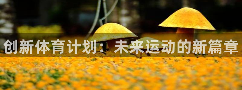 MK体育官网下载平台APP:创新体育计划:未来运动的新篇章