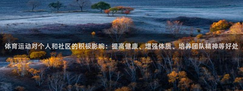 MK体育官方正版app官方:体育运动对个人和社区的积极影响: