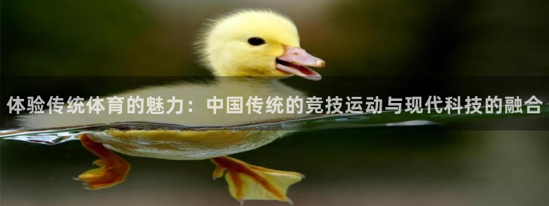 MK体育官网下载官方客服电话:体验传统体育的魅力:中国传统的