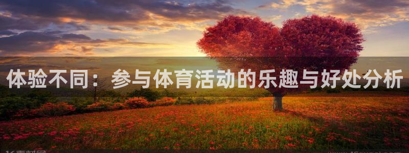 MK体育官网下载招商电话是多少号码:体验不同:参与体育活动的